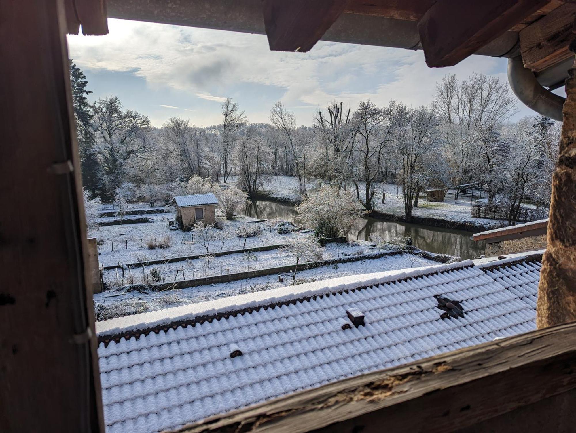 Le Cinoche, Cocon Sous Les Toits Διαμέρισμα Pont-de-Vaux Εξωτερικό φωτογραφία